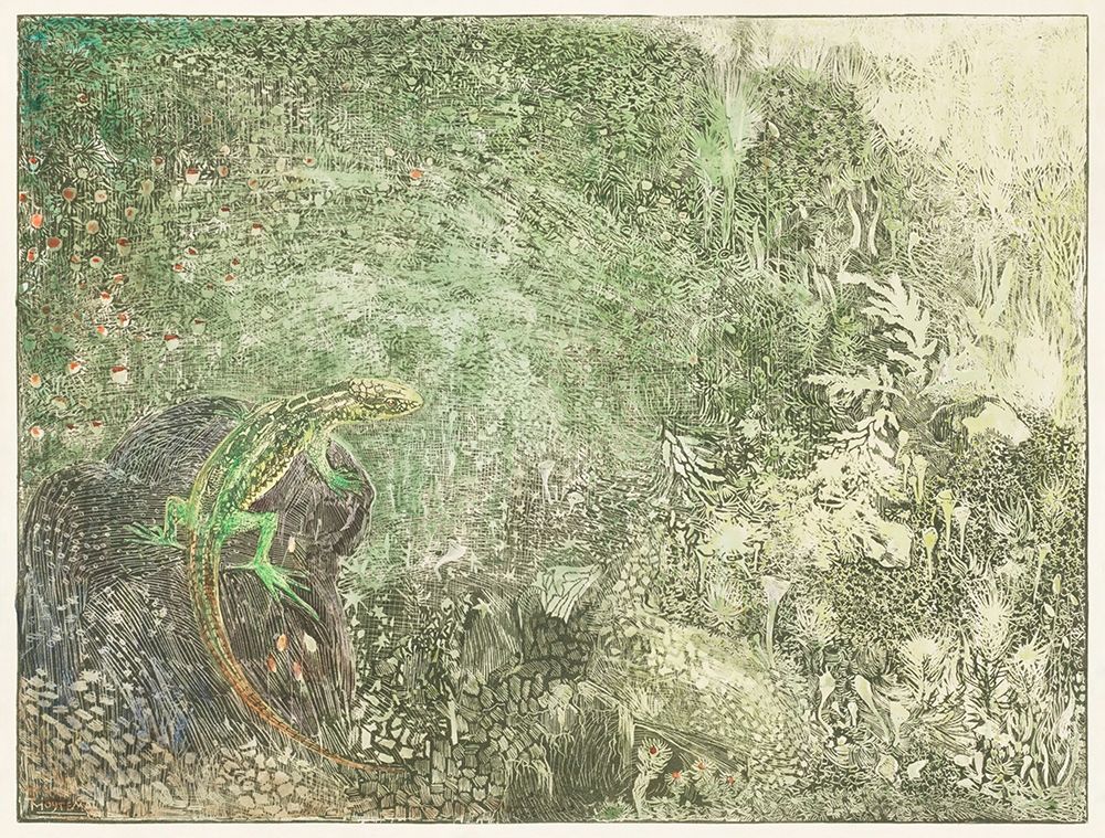 Lizard on a stone art print by Theo van Hoytema for $57.95 CAD