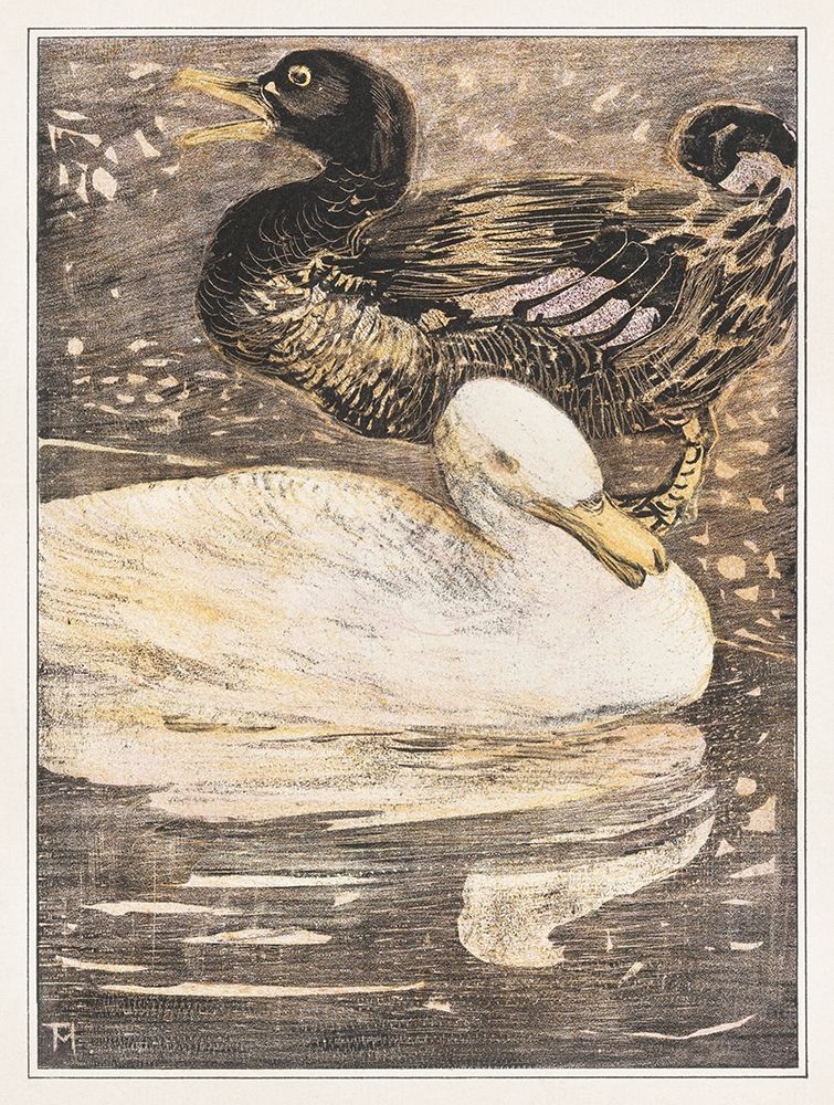 Two ducks art print by Theo van Hoytema for $57.95 CAD