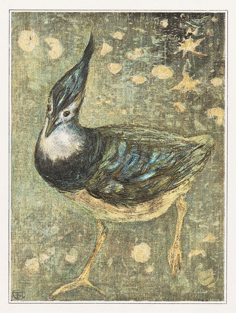 Lapwing art print by Theo van Hoytema for $57.95 CAD