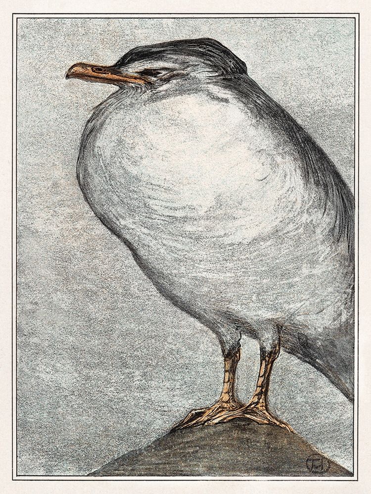 Herring Gull art print by Theo van Hoytema for $57.95 CAD