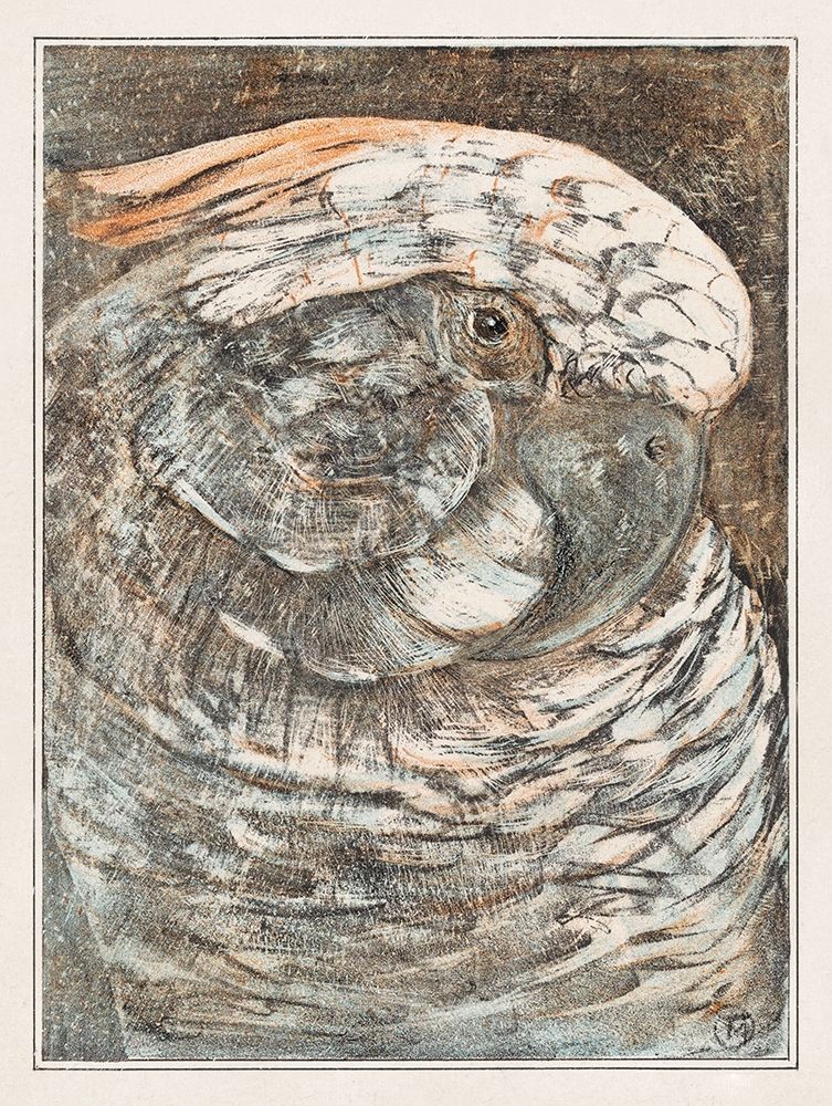 Head of a parrot art print by Theo van Hoytema for $57.95 CAD