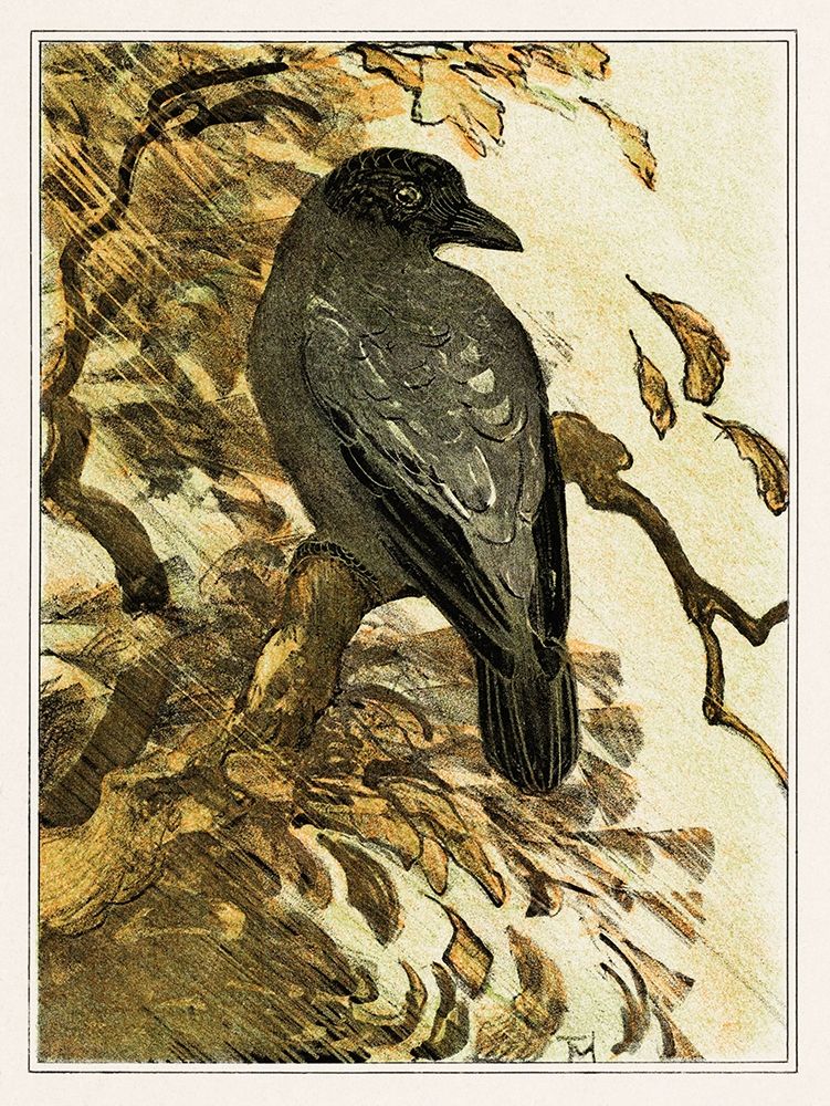 Hooded crow on branch art print by Theo van Hoytema for $57.95 CAD