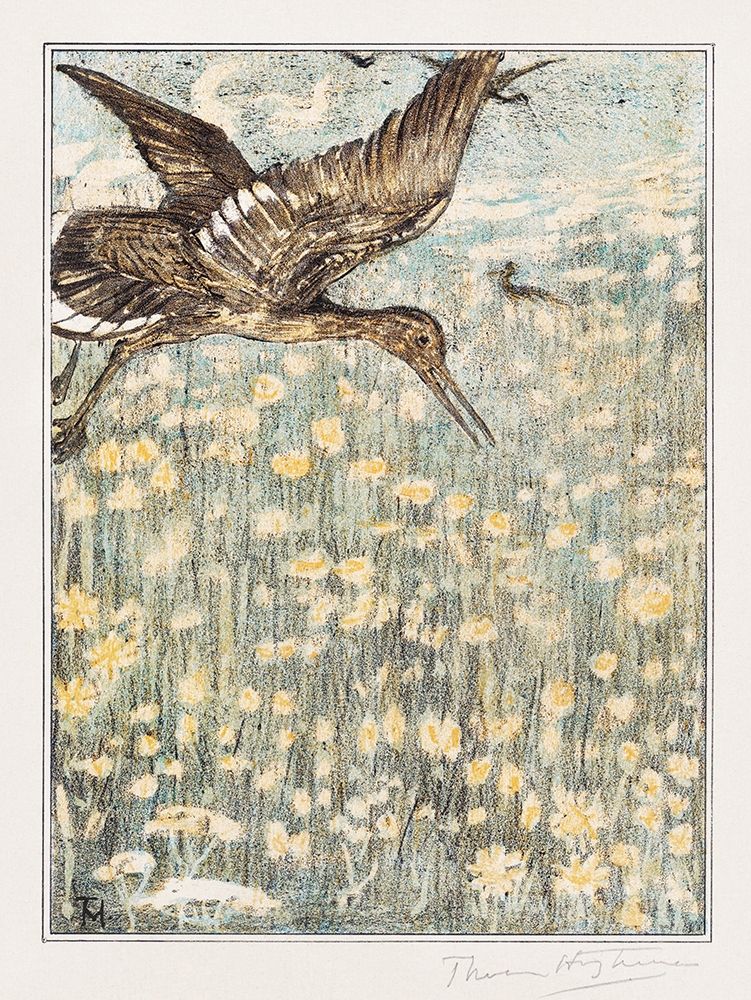 Redshank art print by Theo van Hoytema for $57.95 CAD
