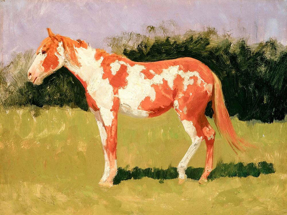 Pinto horse art print by Frederic Remington for $57.95 CAD