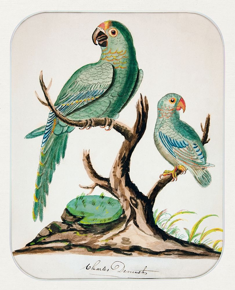Two Parrots on a Barren Tree art print by Charles Demuth for $57.95 CAD