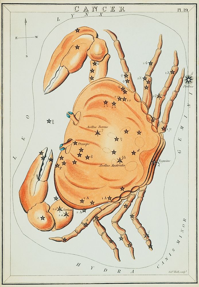 Astronomical chart illustration of the cancer zodiac art print by Sidney Hall for $57.95 CAD