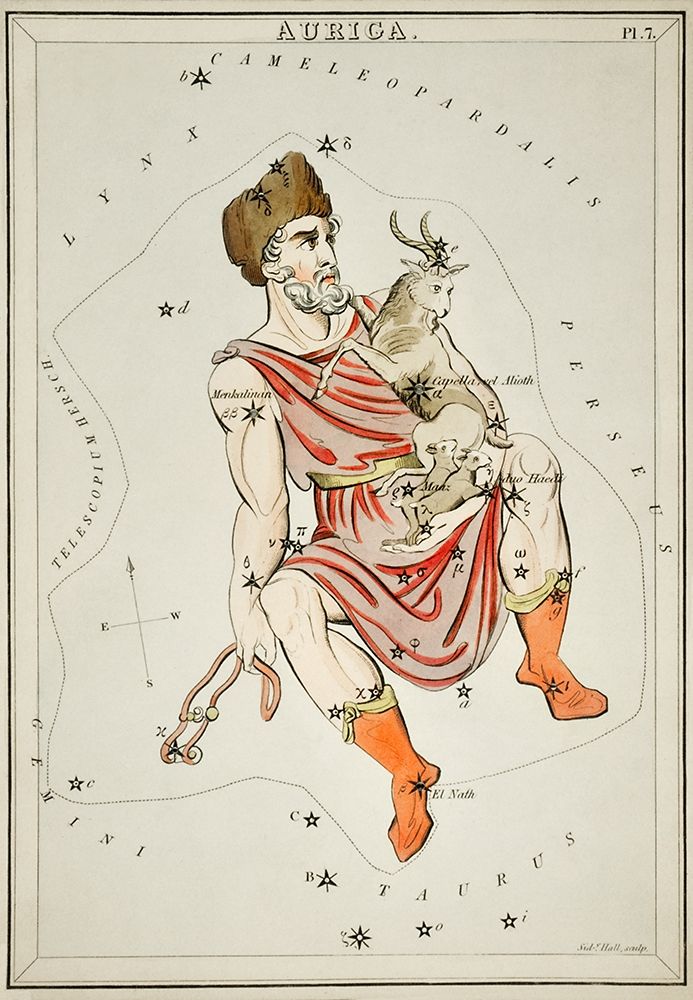 Astronomical chart illustration of the Auriga art print by Sidney Hall for $57.95 CAD