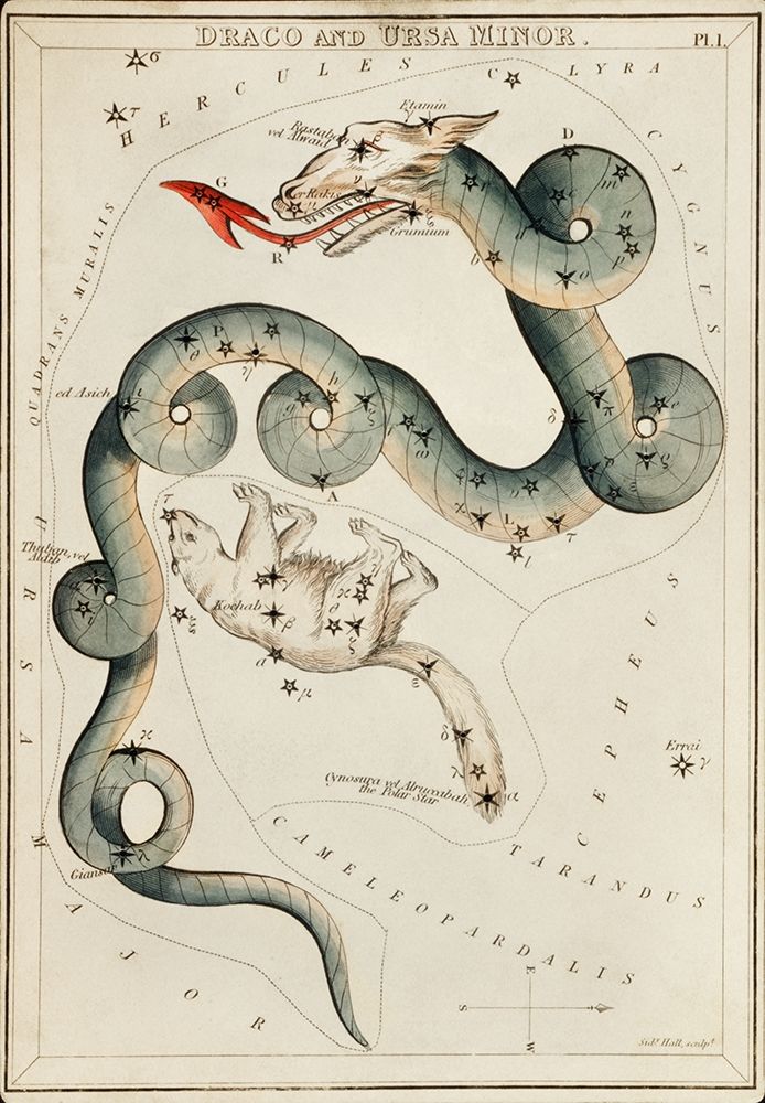 Astronomical chart illustration of the Draco and the Ursa Minor art print by Sidney Hall for $57.95 CAD