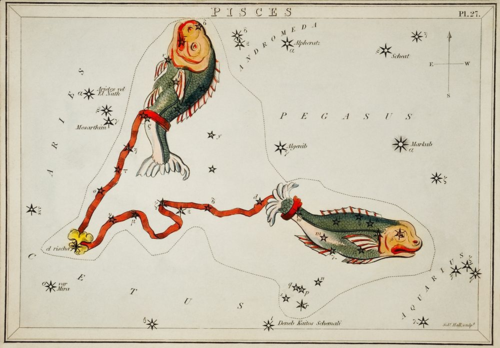 Astronomical chart illustration of the Pisces art print by Sidney Hall for $57.95 CAD