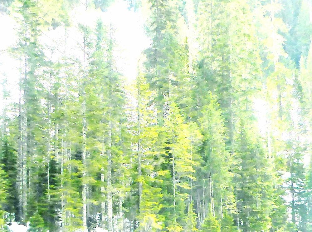 Growth art print by Sarah Ghanooni for $57.95 CAD