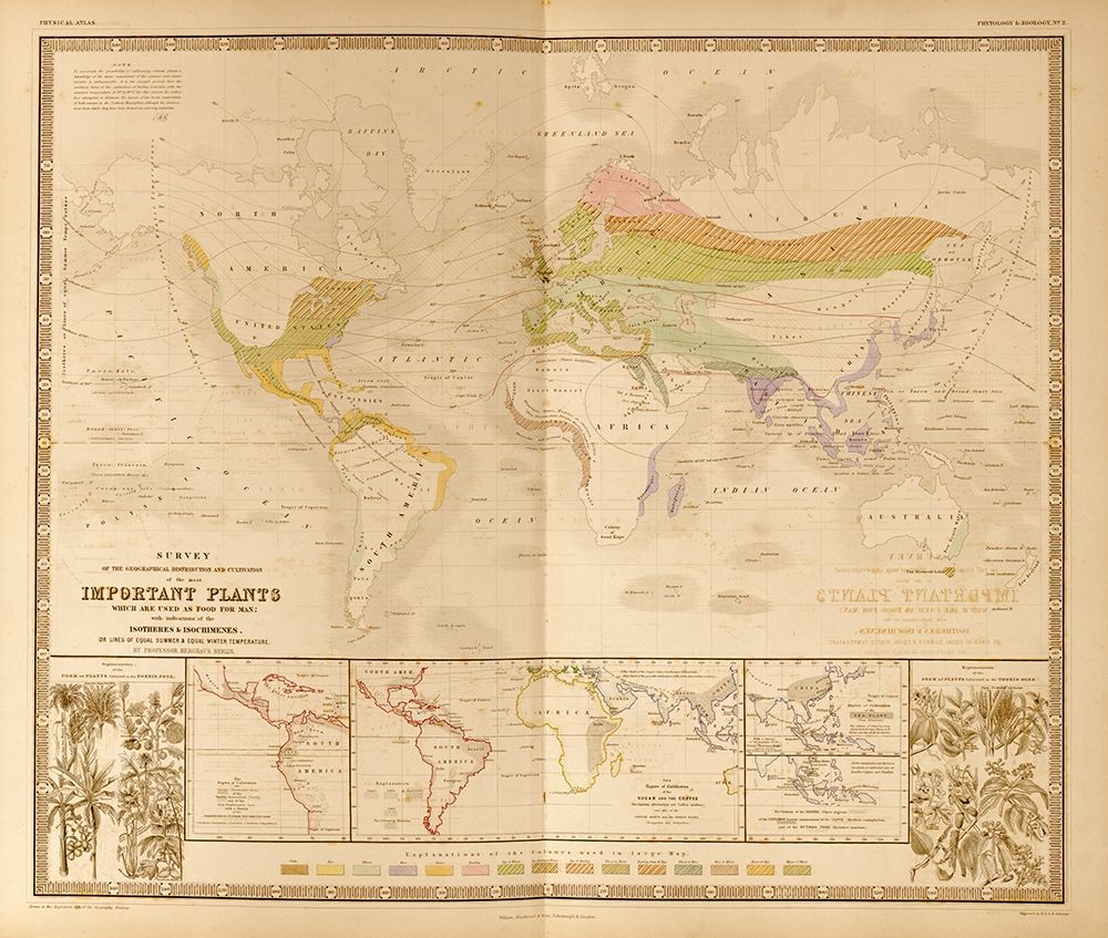 Food Plants of the World art print by Vintage Maps for $57.95 CAD