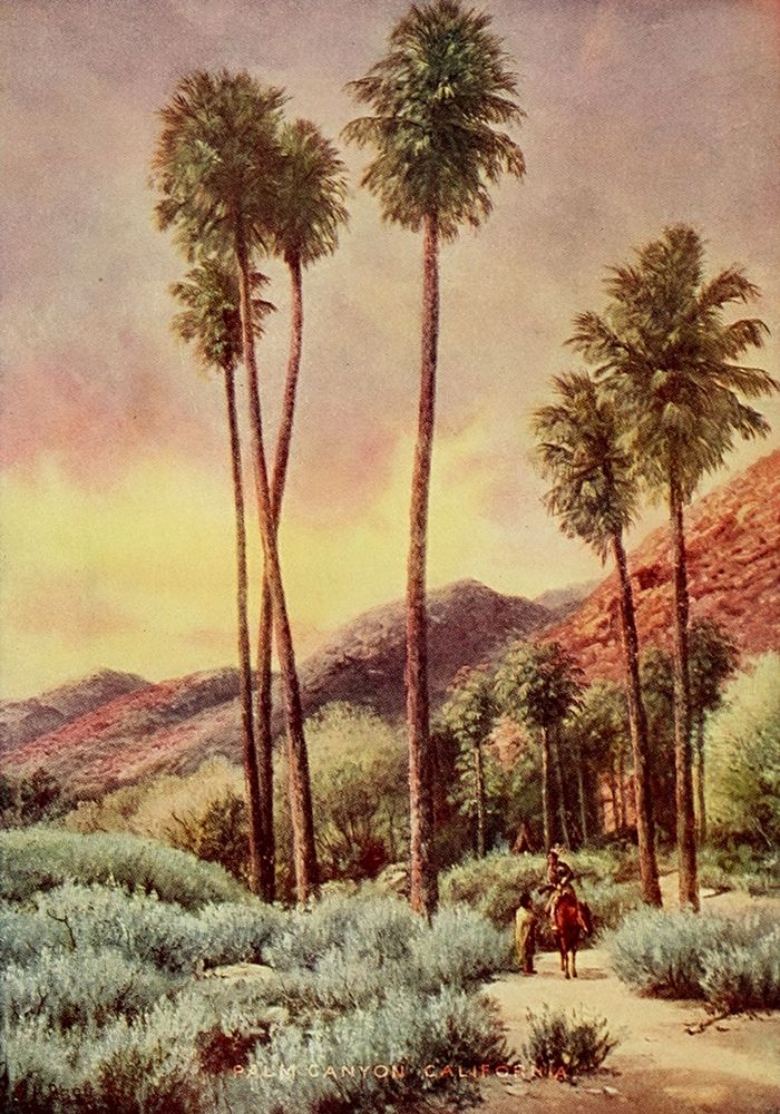 Palm Canyon-California from On Sunset Highways 1921 art print by Henry Bagg for $57.95 CAD
