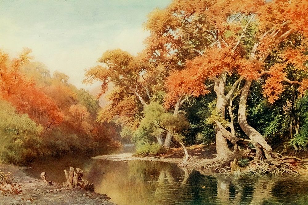 Sycamores-a coast range canyon-California 1914 art print by Sutton Palmer for $57.95 CAD