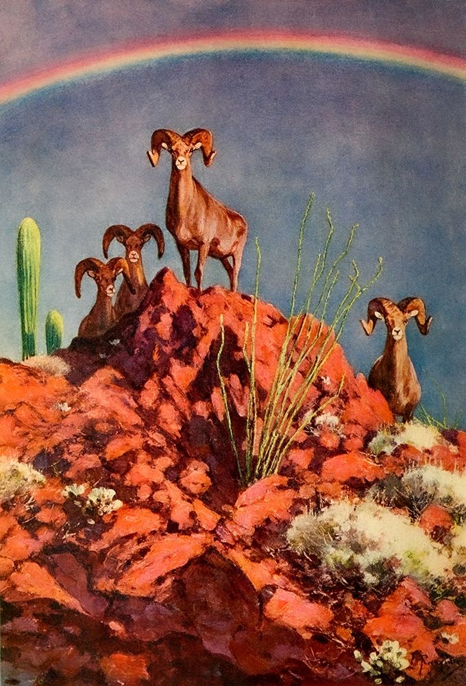 Bighorn Sheep on Rocks art print by Carl Rungius for $57.95 CAD