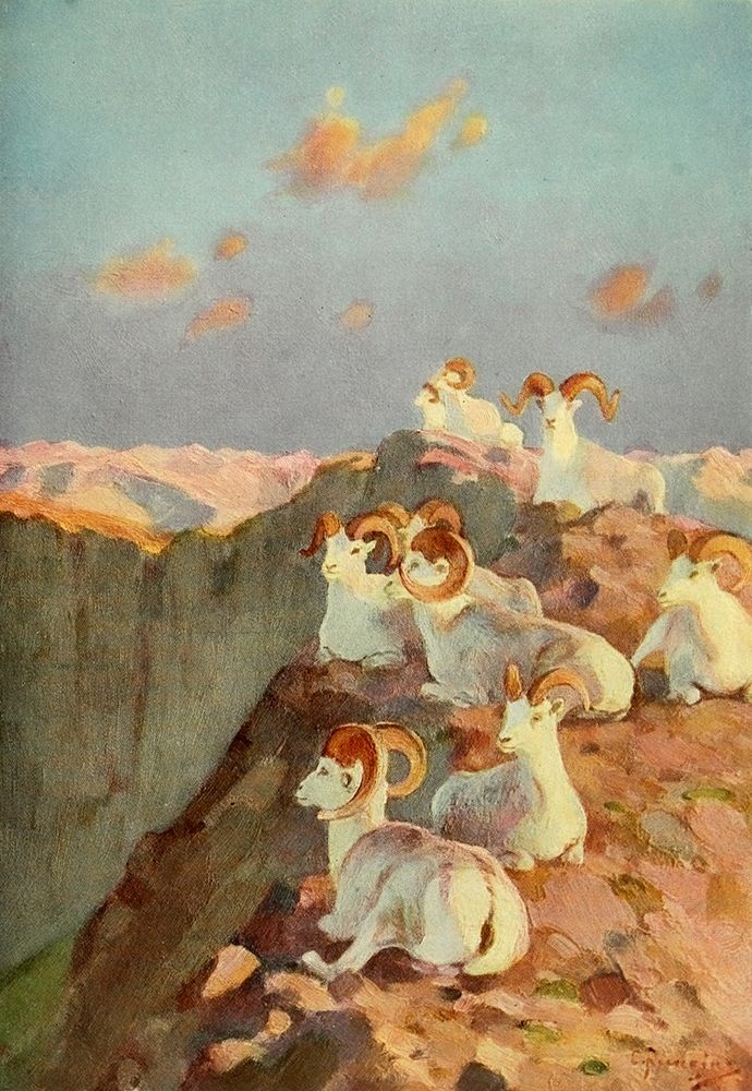 On the Precipice art print by Carl Rungius for $57.95 CAD
