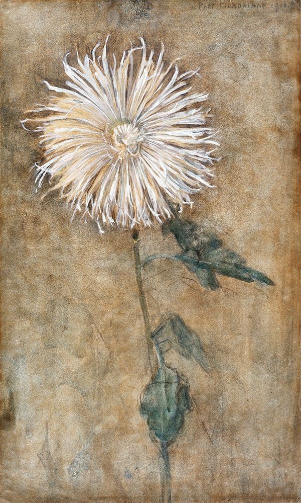 Chrysanthemum art print by Piet Mondrian for $57.95 CAD