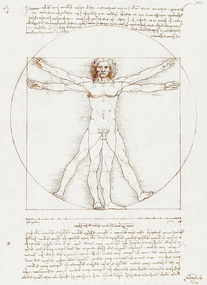 Vitruvian Man art print by Leonardo da Vinci for $57.95 CAD