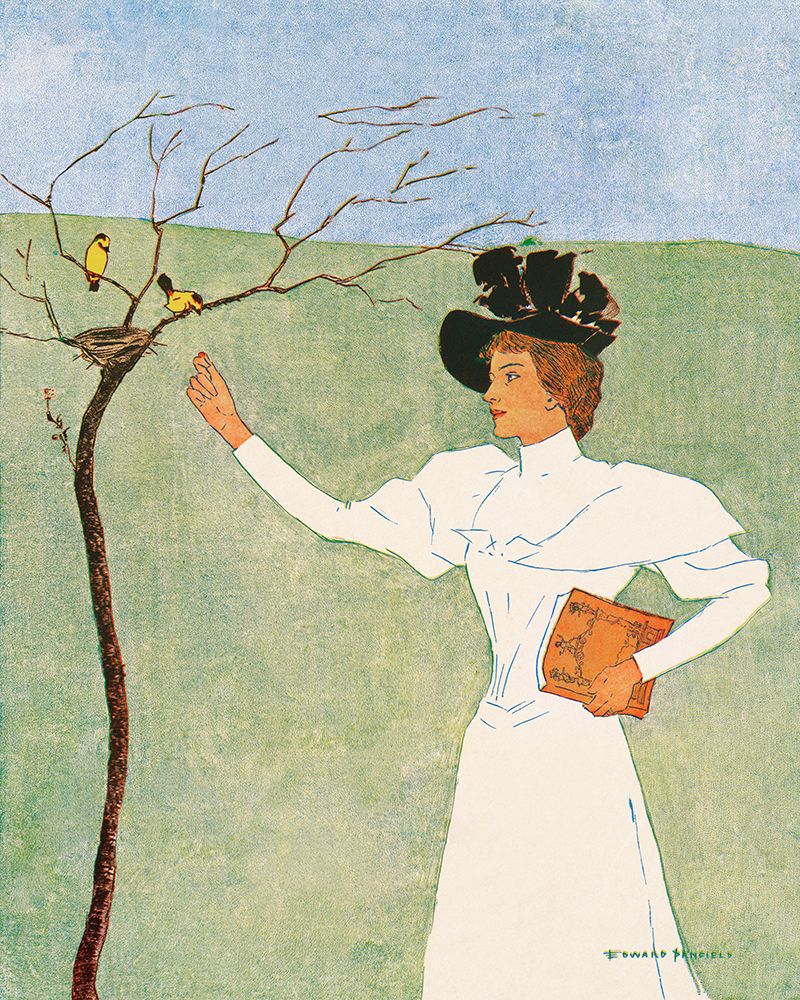 Woman Reaching for Birds art print by Edward Penfield for $57.95 CAD