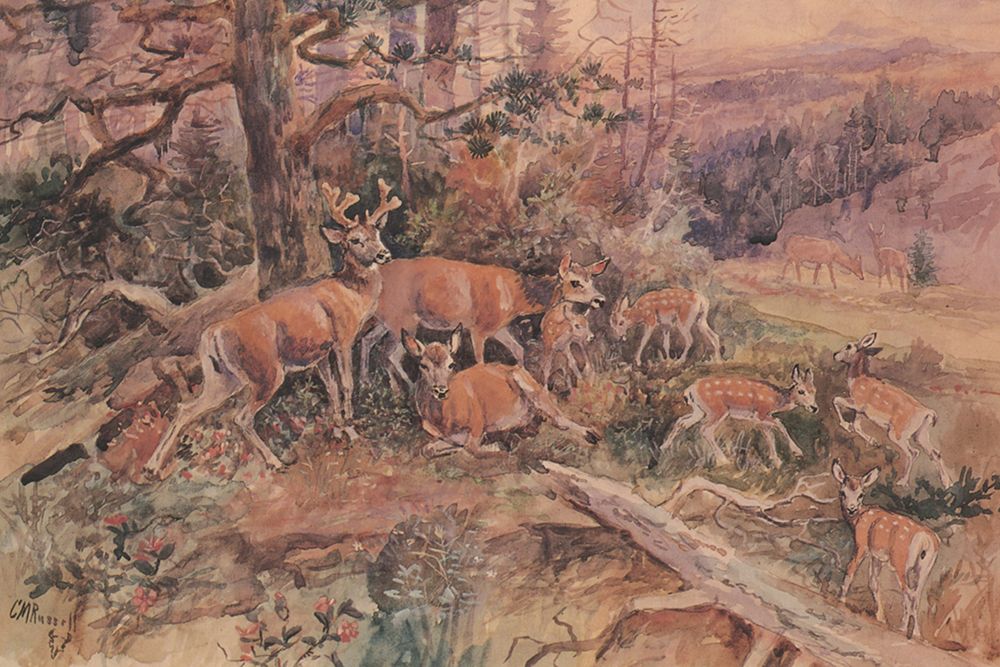White Tails art print by Charles Marion Russell for $57.95 CAD