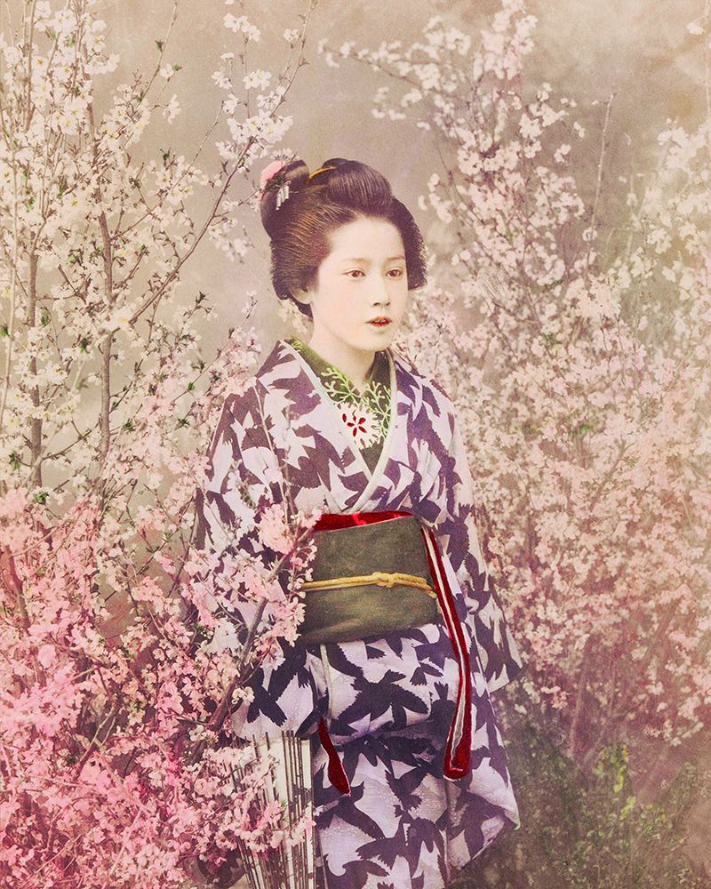 Geisha and Cherry Blossom art print by Ogawa Kazumasa for $57.95 CAD