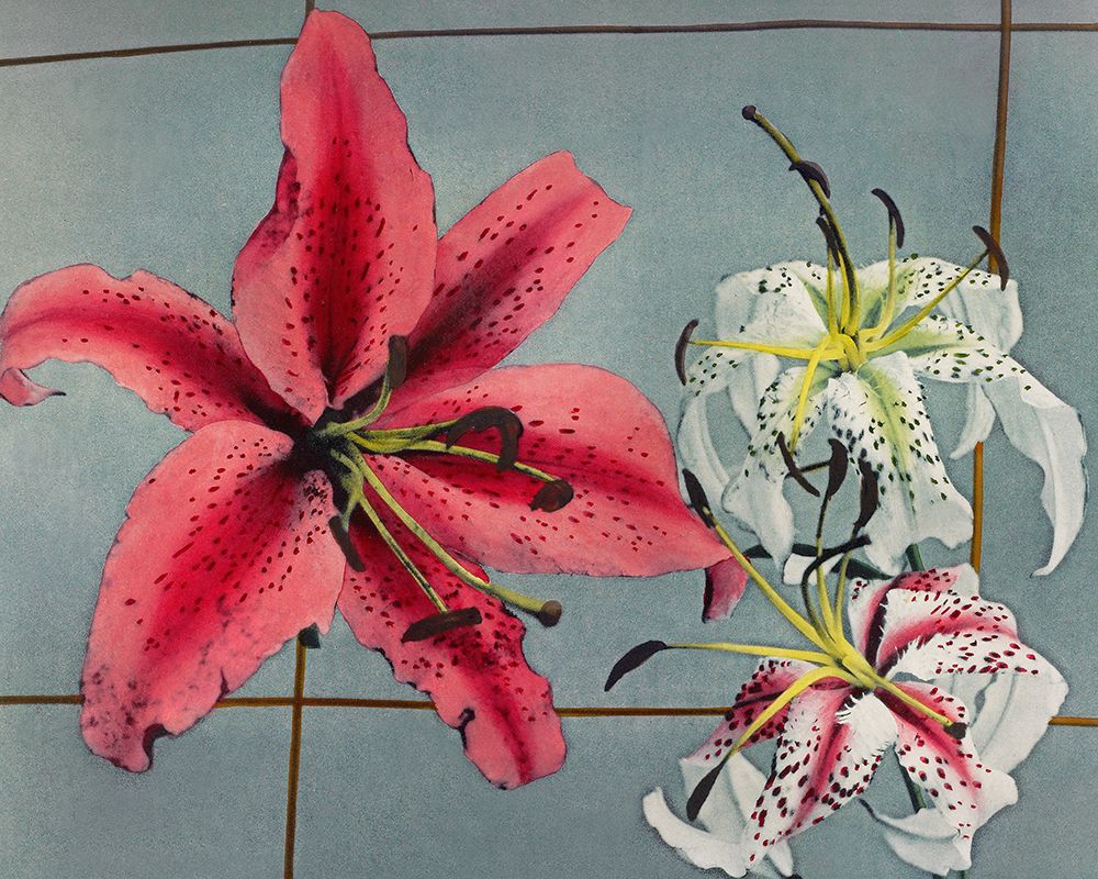 Lily IX art print by Ogawa Kazumasa for $57.95 CAD