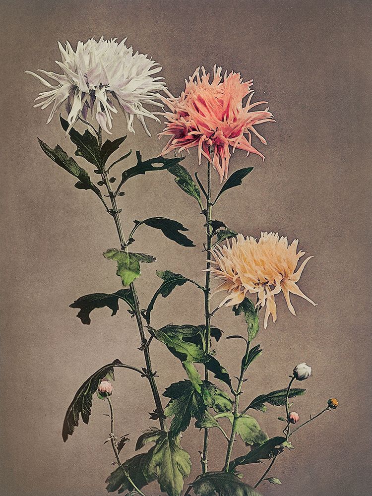 Kin Sui Ro art print by Ogawa Kazumasa for $57.95 CAD