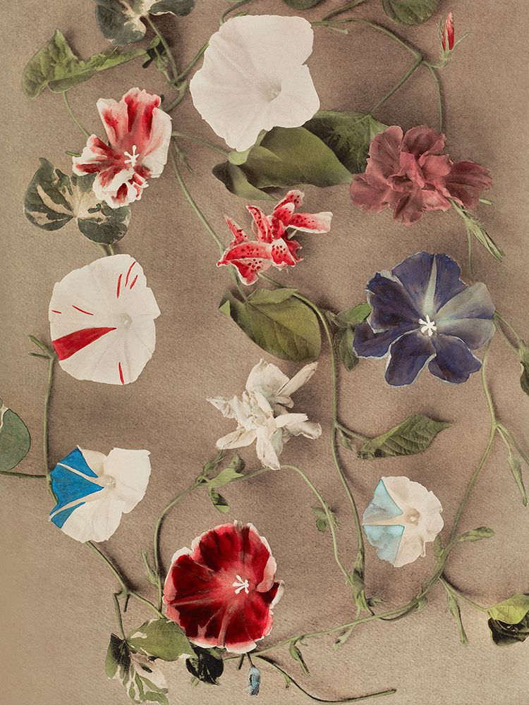 Group of Morning Glories art print by Ogawa Kazumasa for $57.95 CAD