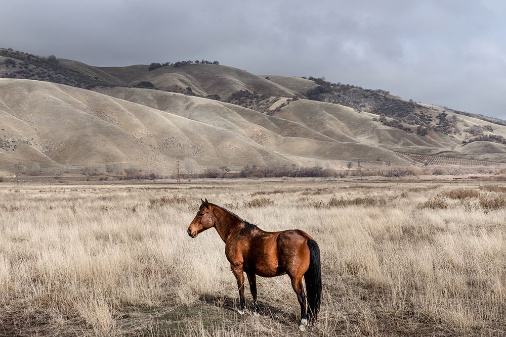Interstate 5 near Californias Fort Tejon State Park art print by Carol Highsmith for $57.95 CAD