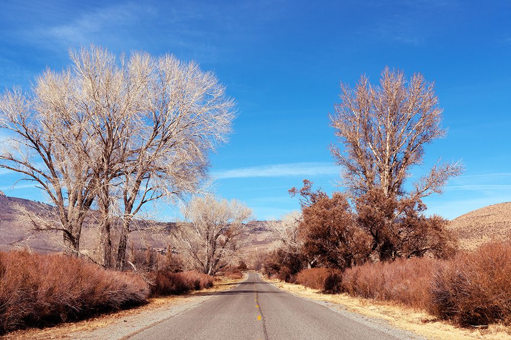 Road in California art print by Carol Highsmith for $57.95 CAD