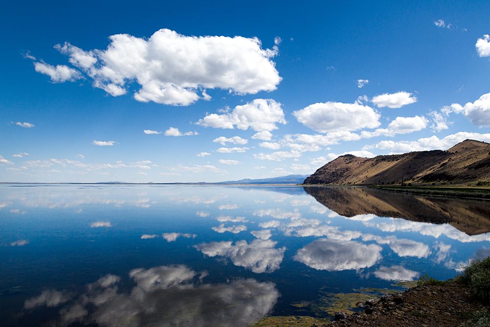 Tule Lake Refuge-California art print by Carol Highsmith for $57.95 CAD