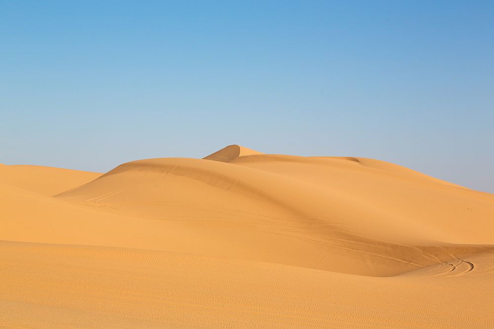 Sand Dunes in Southern California art print by Carol Highsmith for $57.95 CAD