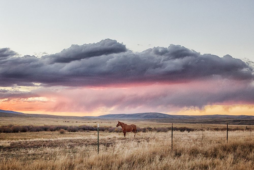 Sunset at Big Creek Cattle Ranch near Riverside in Carbon County-Wyoming art print by Carol Highsmith for $57.95 CAD