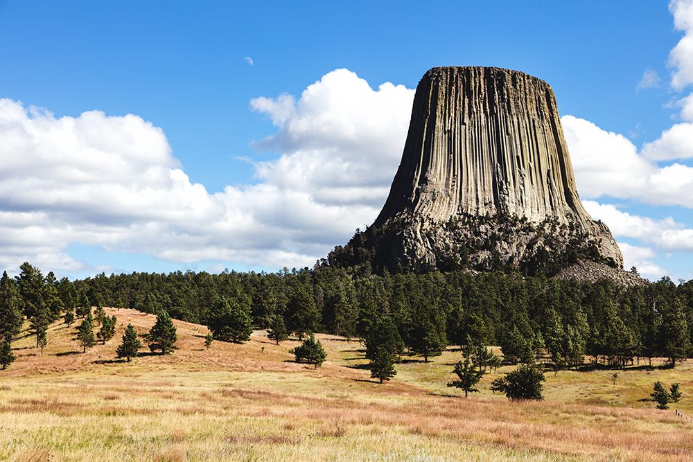 Americas first declared national monument-Devils Tower-Wyoming art print by Carol Highsmith for $57.95 CAD