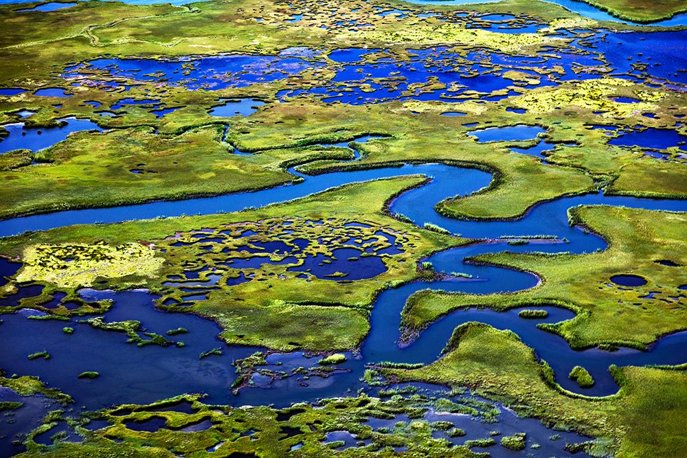 Marshlands New Jersey Shore-Little Egg Harbor-New Jersey art print by Carol Highsmith for $57.95 CAD