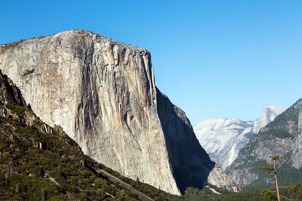 Yosemite National Park-California art print by Carol Highsmith for $57.95 CAD