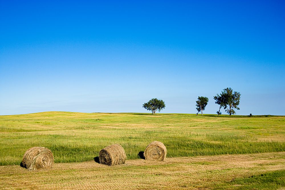 Hay Bales rural Nebraska art print by Carol Highsmith for $57.95 CAD