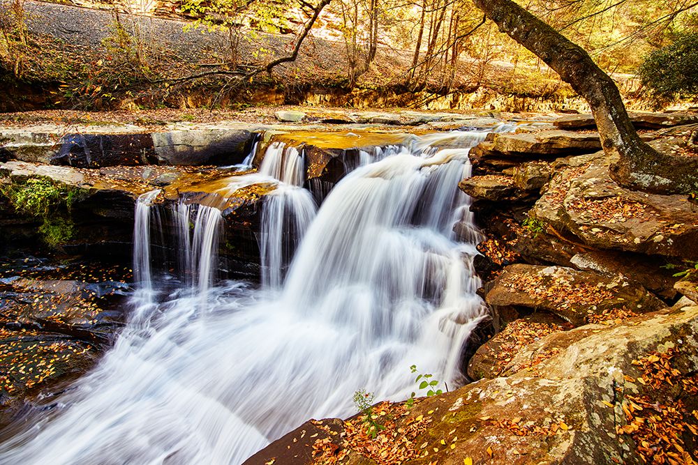 Dunloup Falls Thurmond-Fayette County-West Virginia art print by Carol Highsmith for $57.95 CAD
