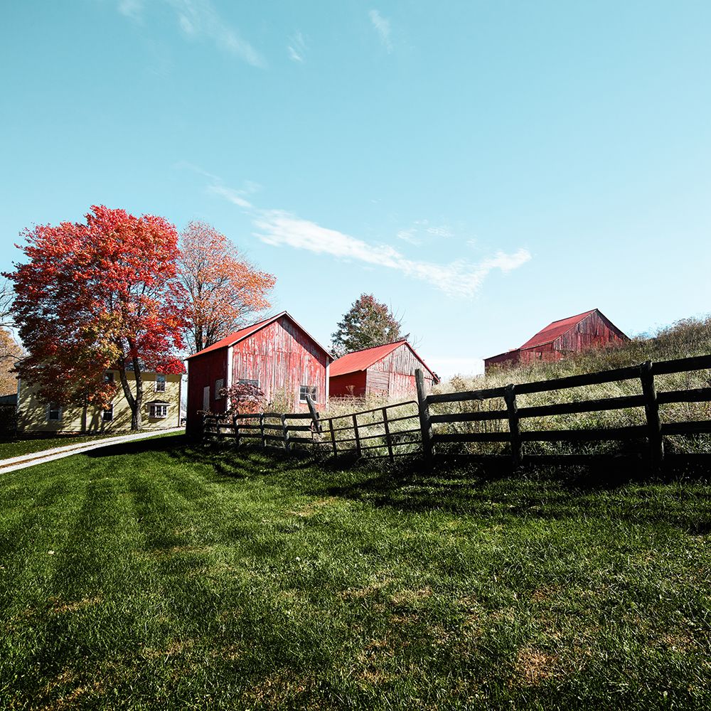 Grouping of small barns in Monroe County art print by Carol Highsmith for $57.95 CAD