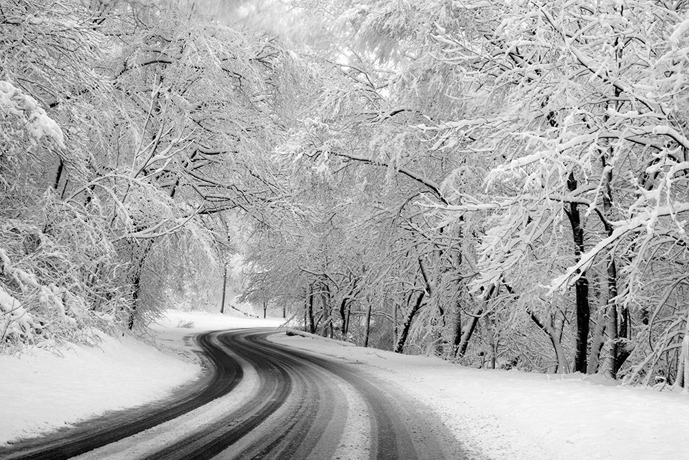 Rock Creek Park-Washington-D.C. art print by Carol Highsmith for $57.95 CAD