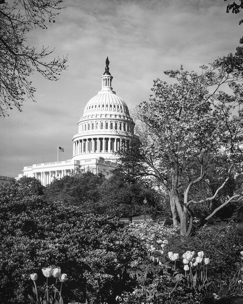 Capitol Hill-Washington D.C. art print by Carol Highsmith for $57.95 CAD