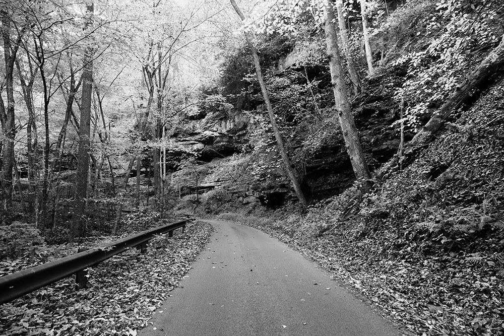 Picturesque road to Nuttallburg art print by Carol Highsmith for $57.95 CAD