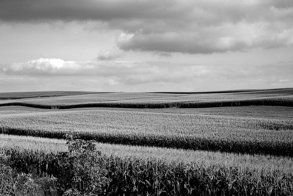 Rural Wisconsin art print by Carol Highsmith for $57.95 CAD