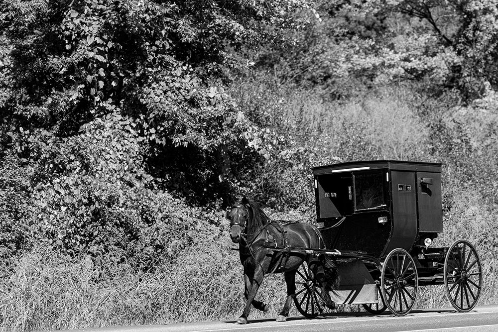 Horse with buggy in Amish country art print by Carol Highsmith for $57.95 CAD