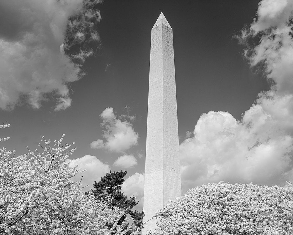 Washington Monument and cherry trees art print by Carol Highsmith for $57.95 CAD