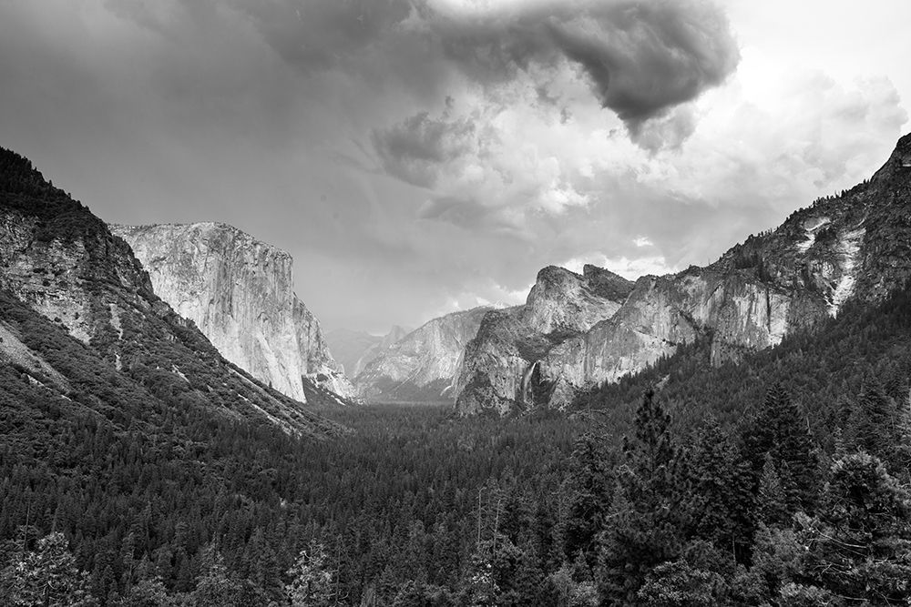 Valley at Yosemite National Park art print by Carol Highsmith for $57.95 CAD