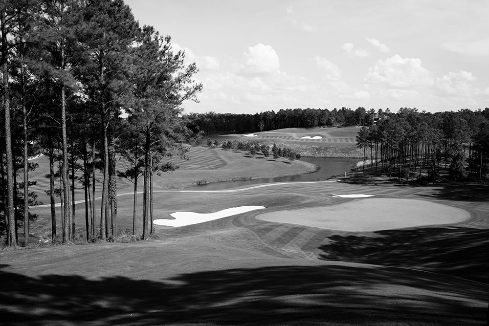 Robert Trent Jones Golf Trail-Ross Bridge-Alabama USA art print by Carol Highsmith for $57.95 CAD