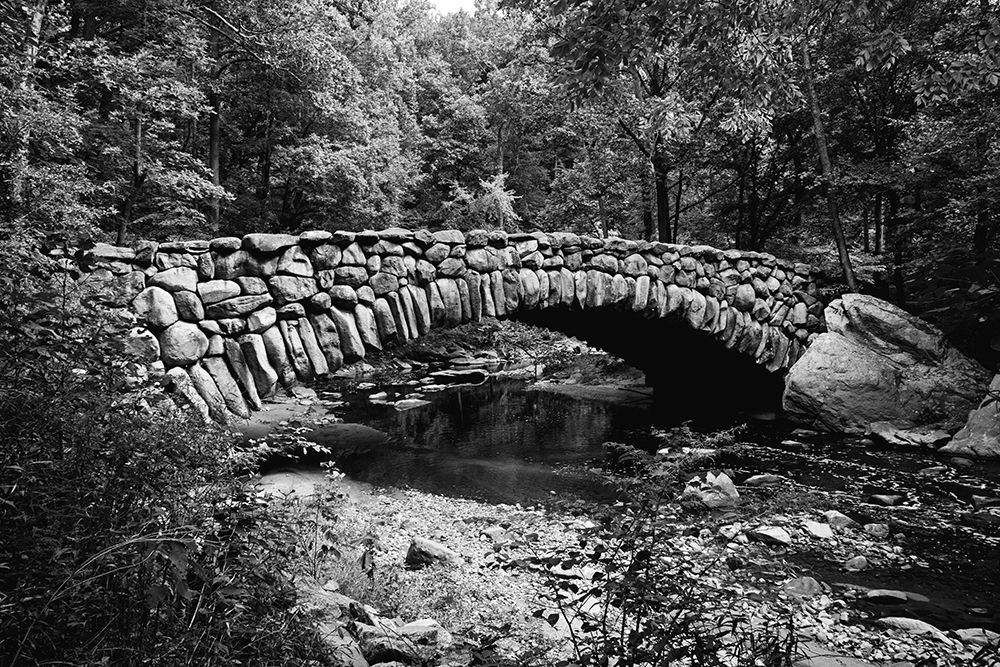 Rock Creek Park-NW-Washington-D.C. art print by Carol Highsmith for $57.95 CAD