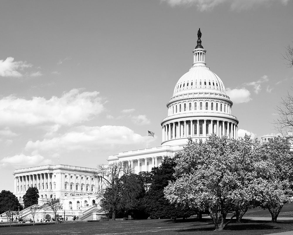 Capitol Hill Washington D.C. in cherry blossom season art print by Carol Highsmith for $57.95 CAD