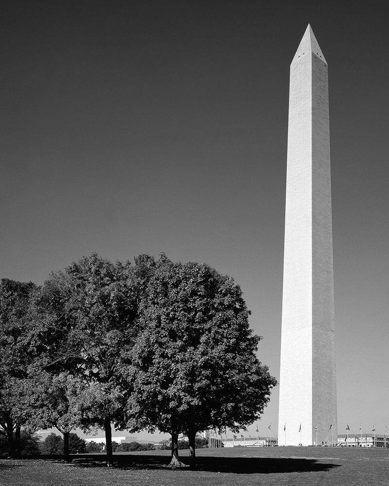 The Washinton Monument in Washington-D.C. art print by Carol Highsmith for $57.95 CAD