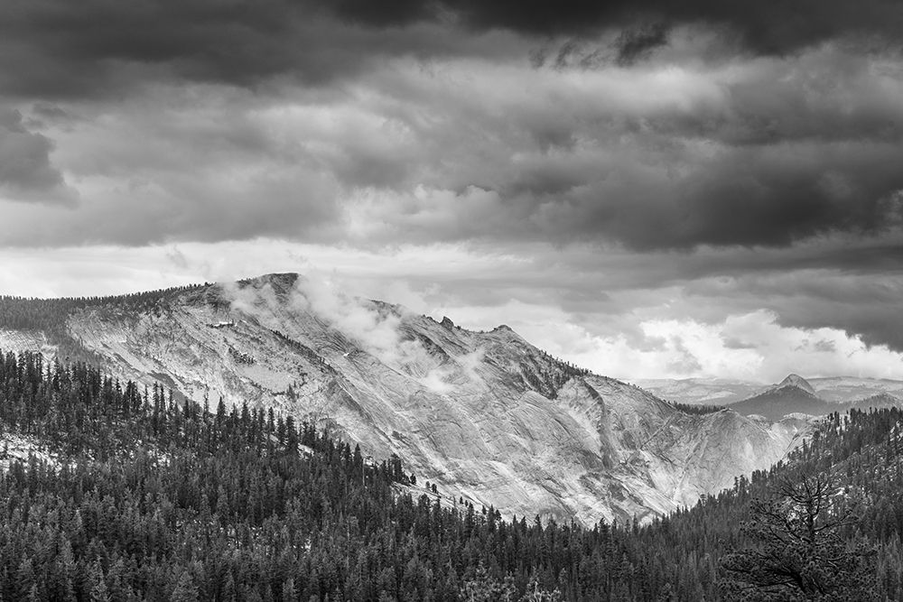 Yosemite National Park-California art print by Carol Highsmith for $57.95 CAD
